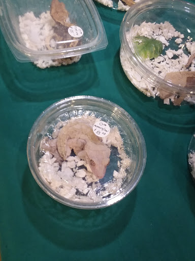 Reptile Store «Cleveland Reptile Show», reviews and photos, 17250 Hummel Rd, Brook Park, OH 44142, USA