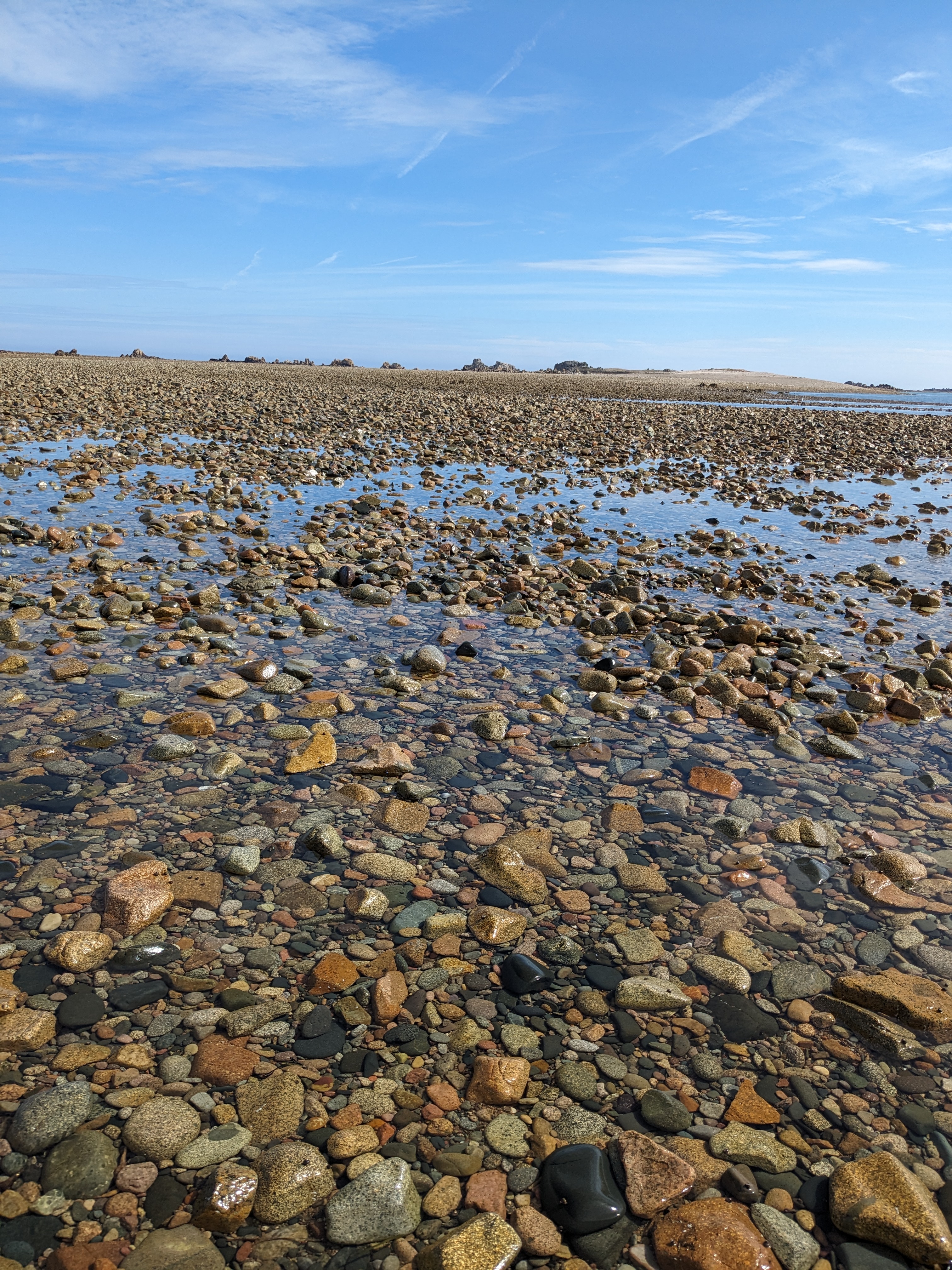 Photo n° 7 de l'avis de Franck.e fait le 24/08/2023 à 08:29