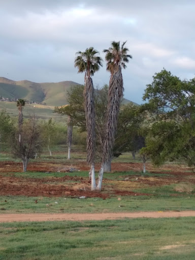 Public Golf Course «Paradise Knolls Golf Course», reviews and photos, 9330 Limonite Ave, Riverside, CA 92509, USA