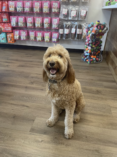 Woof Gang Bakery & Grooming Friendswood