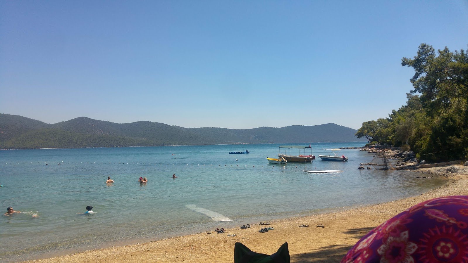 Yesil Beach'in fotoğrafı - rahatlamayı sevenler arasında popüler bir yer