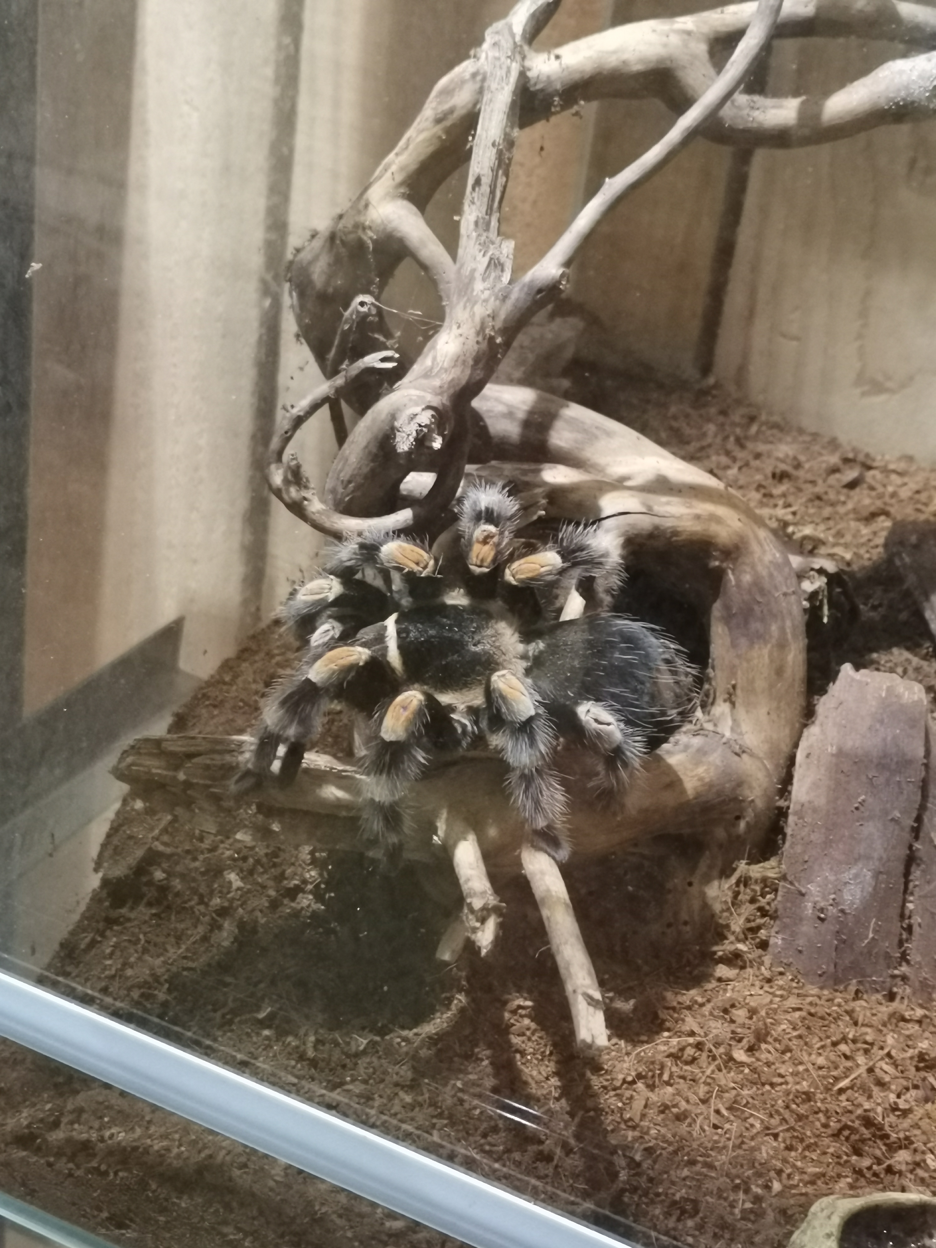 Photo n° 14 de l'avis de Jerome.a fait le 23/10/2021 à 18:04