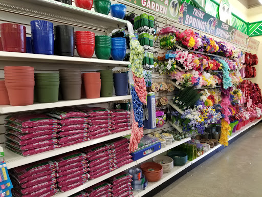 Dollar Store «Dollar Tree», reviews and photos, 3103 111th St #115, Naperville, IL 60564, USA