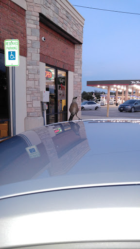 Pet Supply Store «Pet Supplies Plus», reviews and photos, 1031 Northwest Hwy, Garland, TX 75041, USA