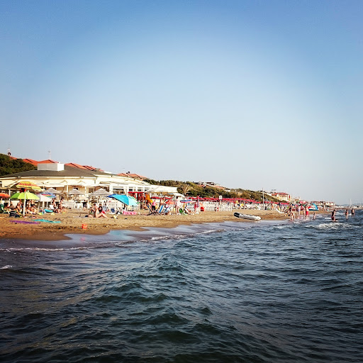 Pensioni per cani e dog hotel a Dog Hotel di F.lli Manzi