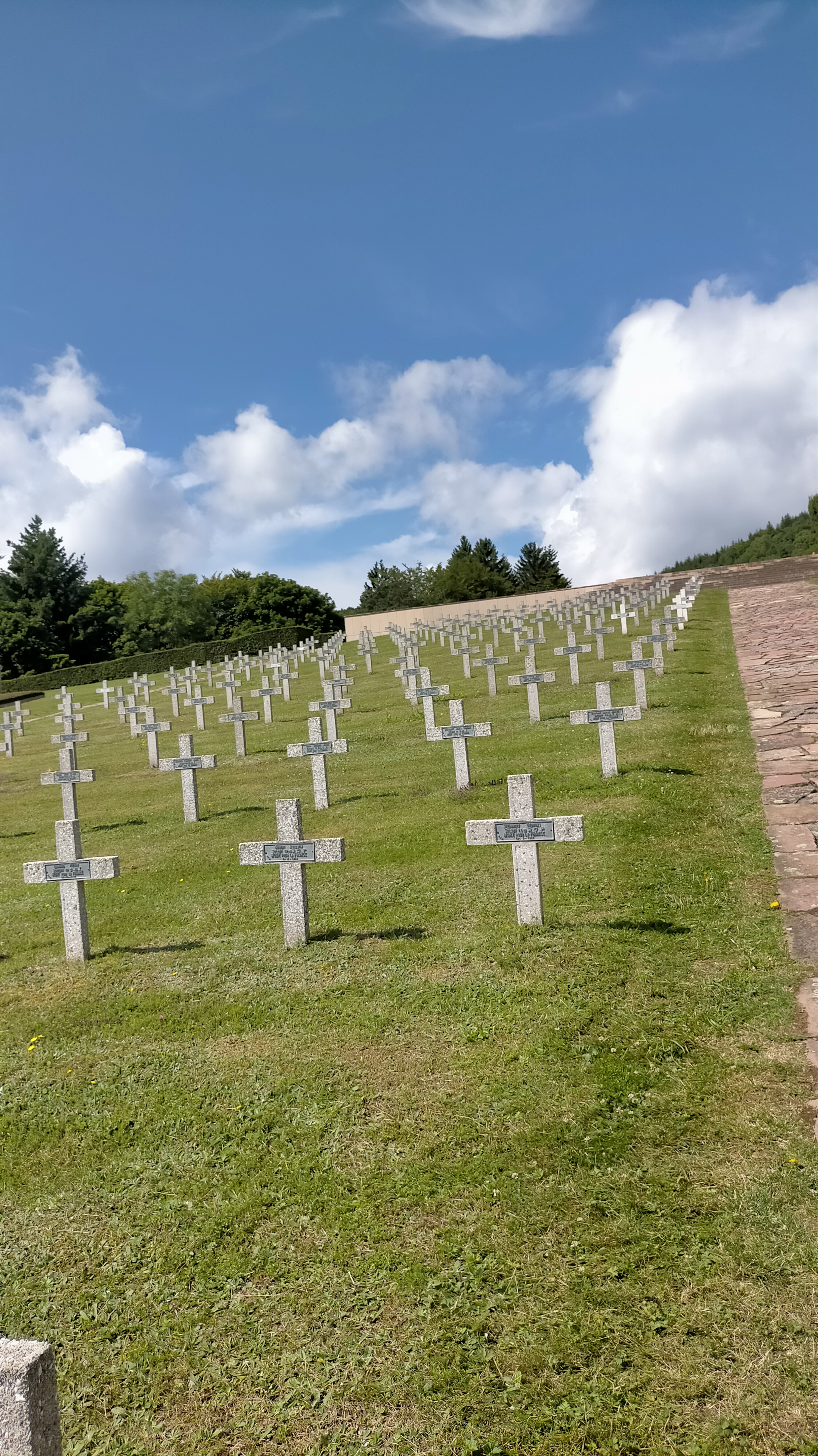 Photo n° 2 de l'avis de Niloj. fait le 09/08/2021 à 20:38