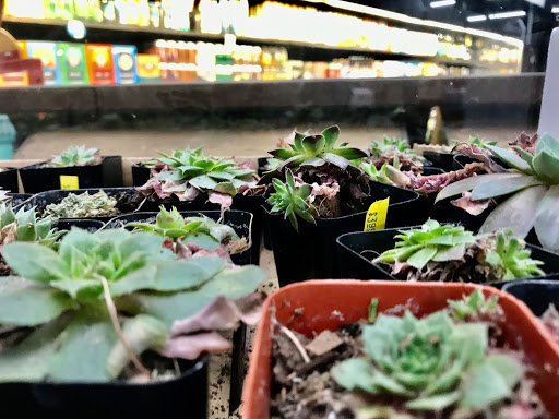 Grocery Store «Hopey and Co.», reviews and photos, 45 S French Broad Ave, Asheville, NC 28801, USA