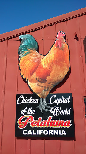 Sportswear Store «Zephyr Pacific Sportswear», reviews and photos, 210 F St, Petaluma, CA 94952, USA