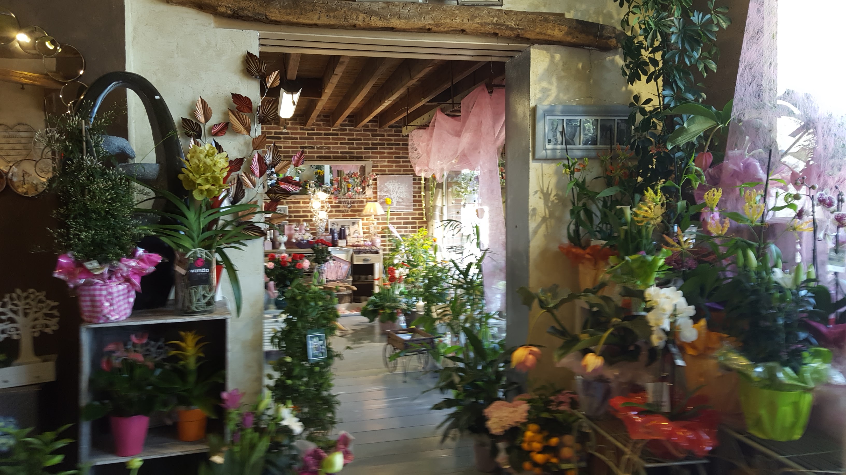 Photo n° 1 de l'avis de Philippe.R fait le 25/05/2017 à 10:20