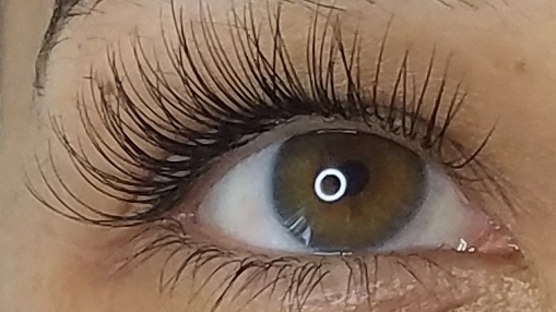 Lashes by Michele (Eyelash Extensions)