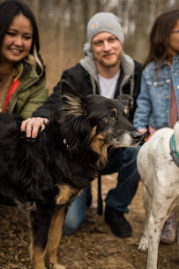 Ashley Seltzer Photography - Photo 8 - Car repair in , Knoxville