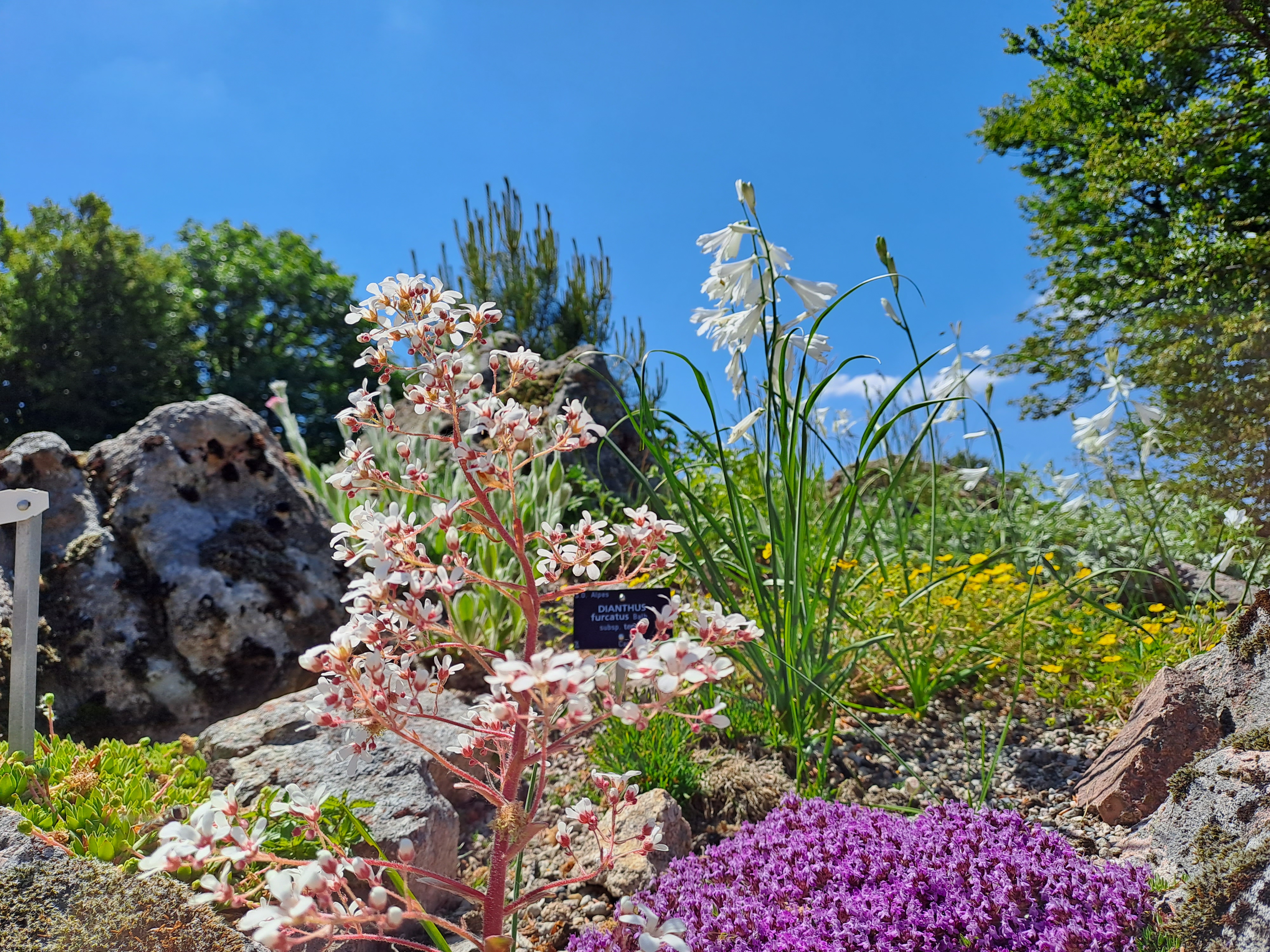 Photo n° 4 de l'avis de RAVIER.A fait le 15/06/2023 à 04:40