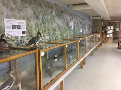 Southern Vermont Natural History Museum
