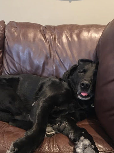 Insurance Agency «State Farm: Chuck Swenson», reviews and photos