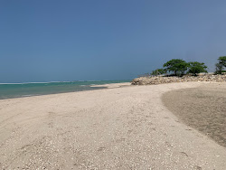 Foto von Ponta dos Anjos Strand mit lange, gerade küste