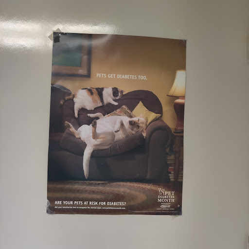 South County Veterinary Hospital image