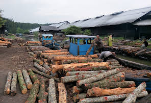 Charcoal Factory Kuala Sepetang
