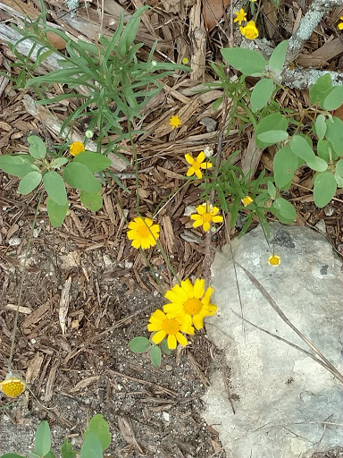 Nature Preserve «Stillhouse Hollow Nature Preserve», reviews and photos, 7810 Sterling Dr, Austin, TX 78759, USA