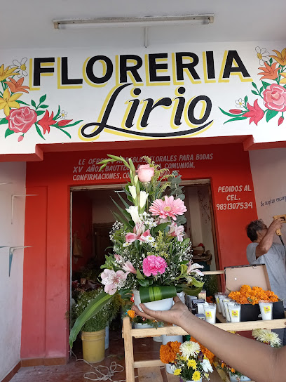 FLORERIA Lirio