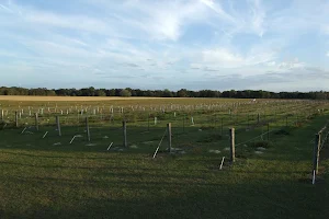 Strong Tower Vineyard & Winery image