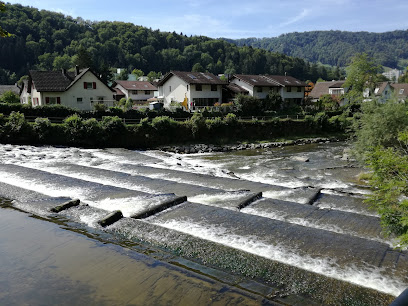 Wildnispark Zürich Langenberg