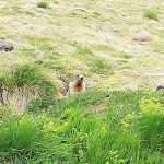 Photo n°1 de l'avis de Martin.� fait le 18/07/2021 à 19:55 sur le  Rifugio Col Rodella à Campitello di Fassa