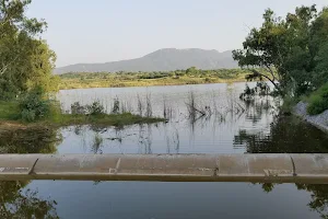 Kot Raja Dam image