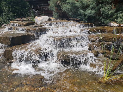 Sporting Goods Store «Bass Pro Shops», reviews and photos, 200 Bass Pro Dr, Round Rock, TX 78665, USA