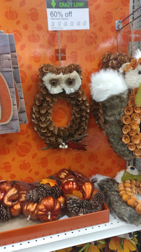 Home Goods Store «Shopko Onalaska», reviews and photos, 9366 WI-16, Onalaska, WI 54650, USA