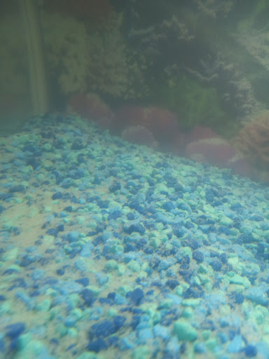 Pet Supply Store «Pet Supplies Plus», reviews and photos, 4332 Kent Rd, Stow, OH 44224, USA