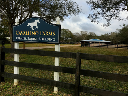 Cavallino Farms - Equine Boarding Facility