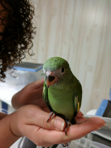 Bird Shop «BirdFarm Superstore», reviews and photos, 6360 Suncoast Parkway, Homosassa, FL 34446, USA