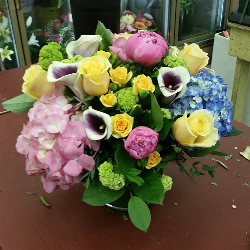 Florist «Exotic Flowers», reviews and photos, 609 American Legion Hwy, Boston, MA 02131, USA