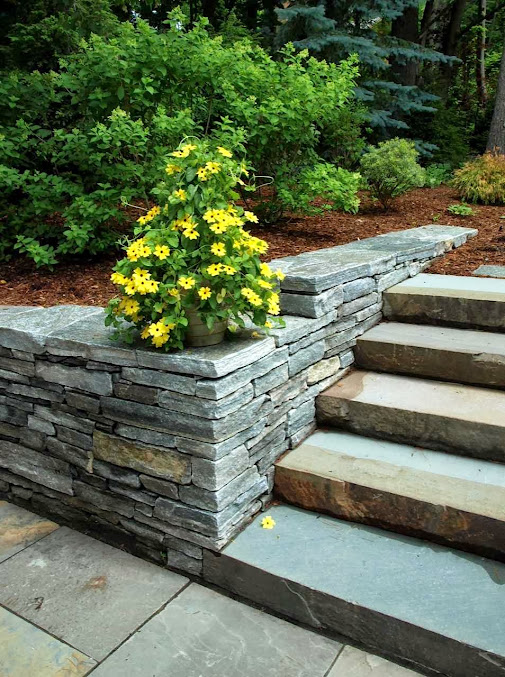 di Stefano Landscaping