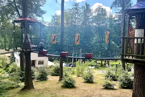Park linowy w Jedlinie-Zdroju image