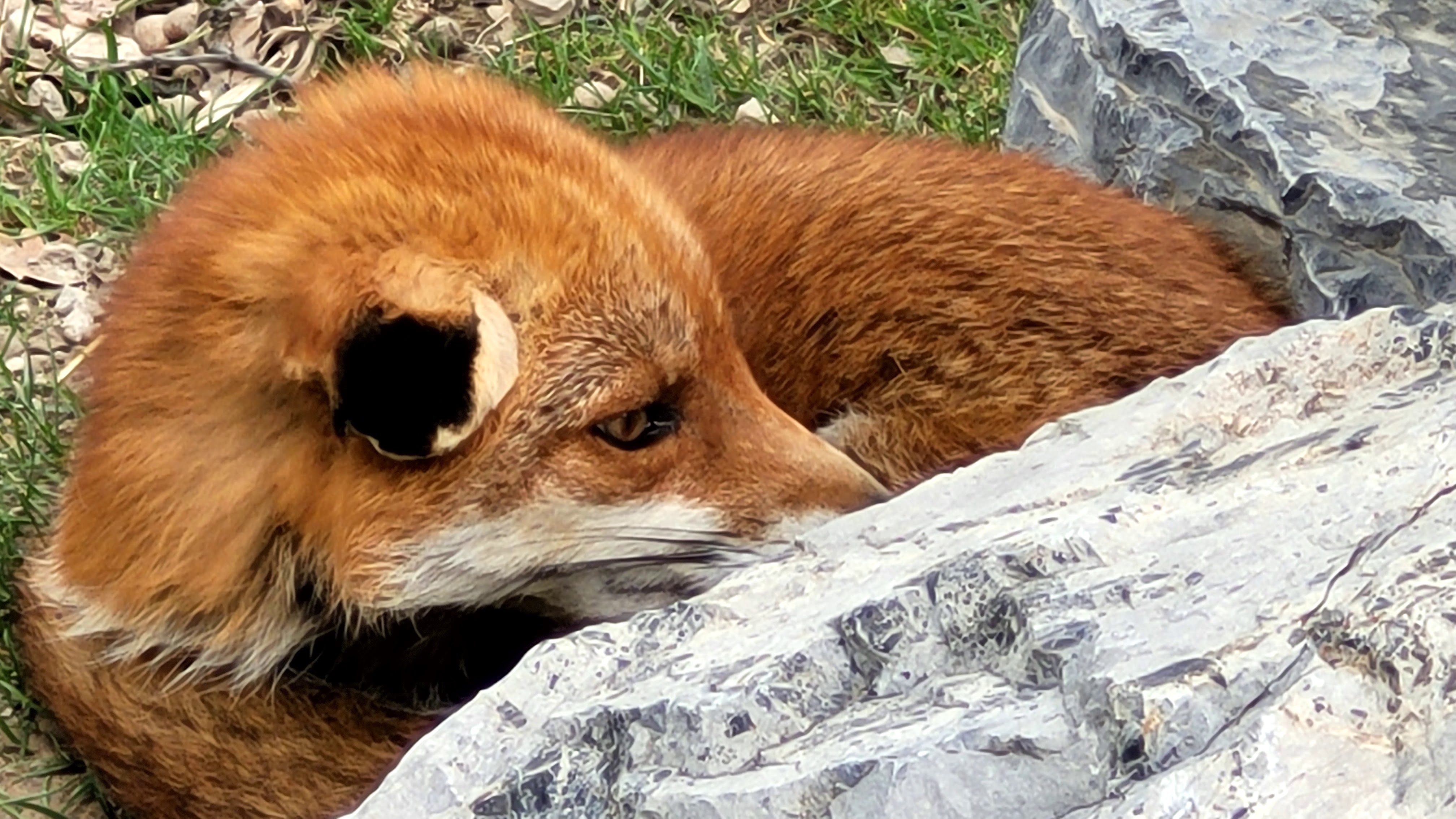 Photo n° 34 de l'avis de PASSIONS.O fait le 24/05/2023 à 09:56