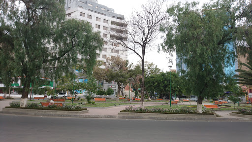 Radiology centers in Cochabamba