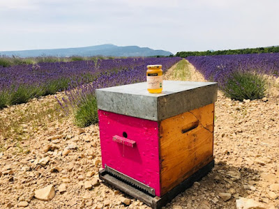 Miellerie des Alpilles à Mollégès