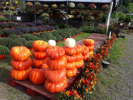 Produce Market «The Bigsby Market», reviews and photos, 1418 Dryden Rd, Freeville, NY 13068, USA