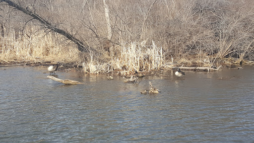 Big Papio Trail End