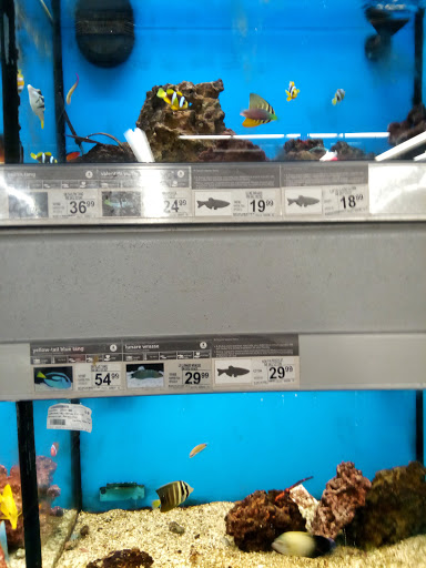 Pet Supply Store «Petco Animal Supplies», reviews and photos, 8909 Branch Ave d, Clinton, MD 20735, USA