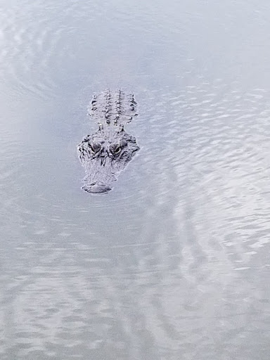 Golf Club «True Blue Golf Plantation», reviews and photos, 900 Blue Stem Dr, Pawleys Island, SC 29585, USA