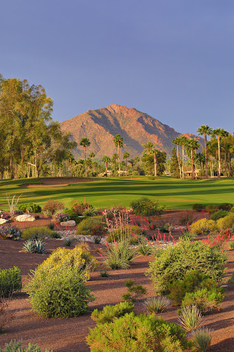 Golf Club «McCormick Ranch Golf Club», reviews and photos, 7505 E McCormick Pkwy, Scottsdale, AZ 85258, USA