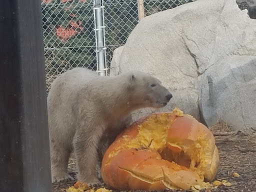 Zoo «Rocky Shores At Hogle Zoo», reviews and photos, 2478 E Ninth S Cir, Salt Lake City, UT 84108, USA