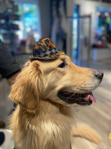 Pet Supply Store «Diggidy Dog», reviews and photos, Ocean Ave & Monte Verde St, Carmel-By-The-Sea, CA 93923, USA