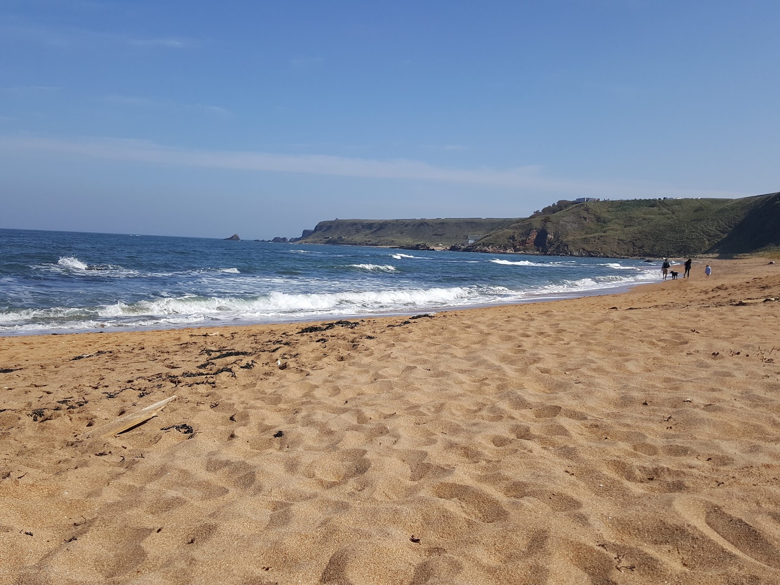 Fotografie cu Drift Beach cu o suprafață de apa pură turcoaz