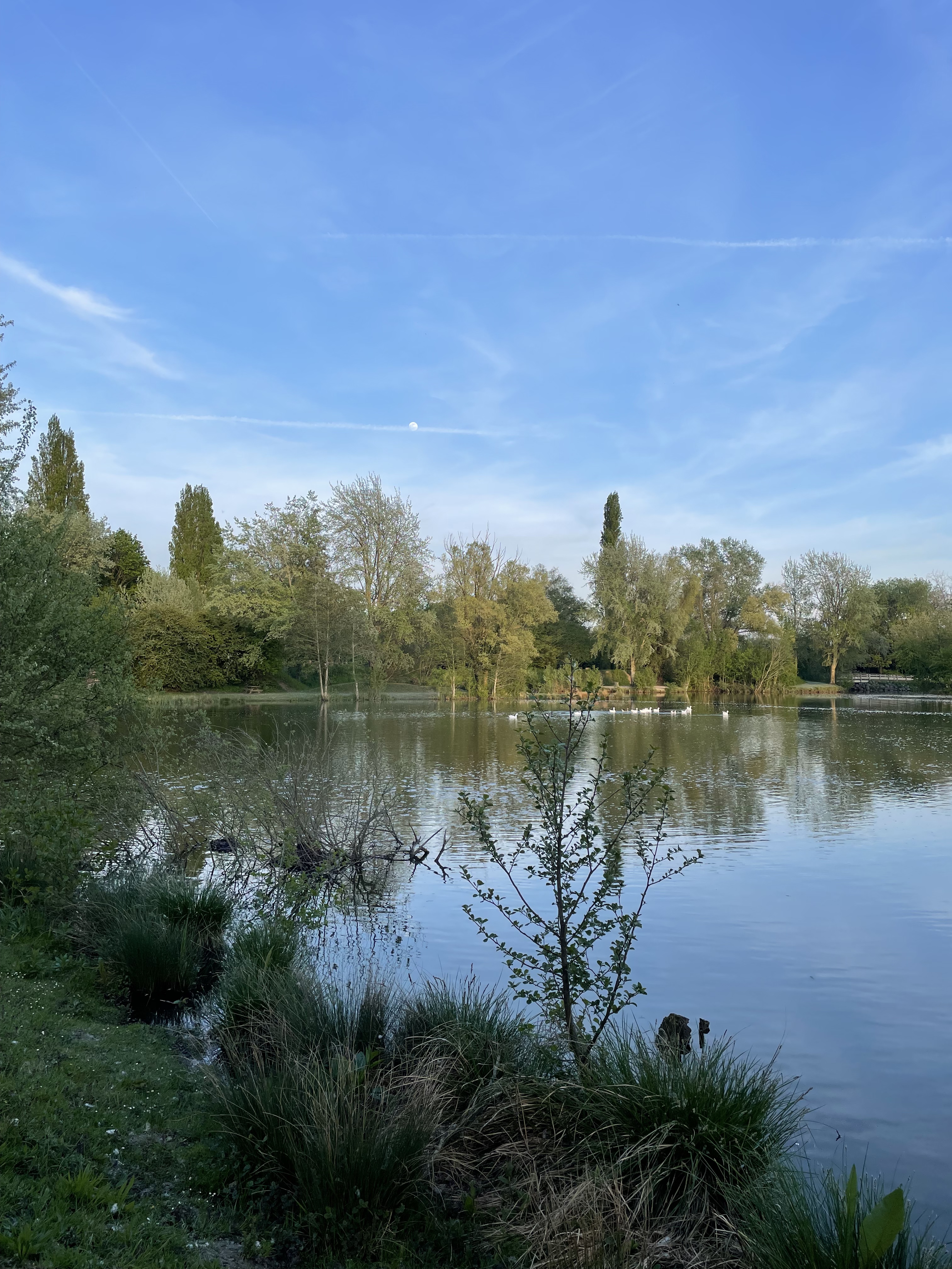 Photo n° 1 de l'avis de Eléonore.e fait le 10/05/2023 à 12:43