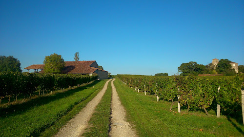 Domaine de Pouypardin à Condom