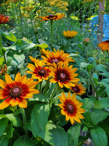 Garden Center «Whispering Pine Garden Center & Florist», reviews and photos, 1 Windsor Rd, Yorktown Heights, NY 10598, USA