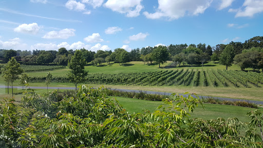 Riojan wineries Auckland